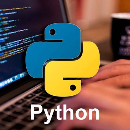 python logo